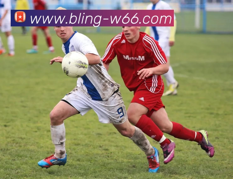 利来国际APP 高清赛事图